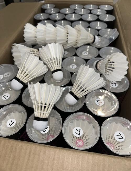 一支羽毛球有几根羽毛？看完这篇你就懂了！