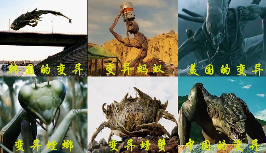 蚂蚁影视怎么看不了？ 几个方法教你轻松解决！