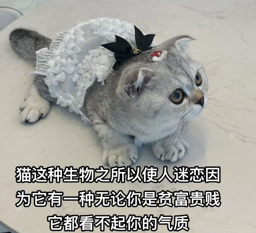 你弟弟迷恋的曼瑞恩恶魔导师游戏是什么