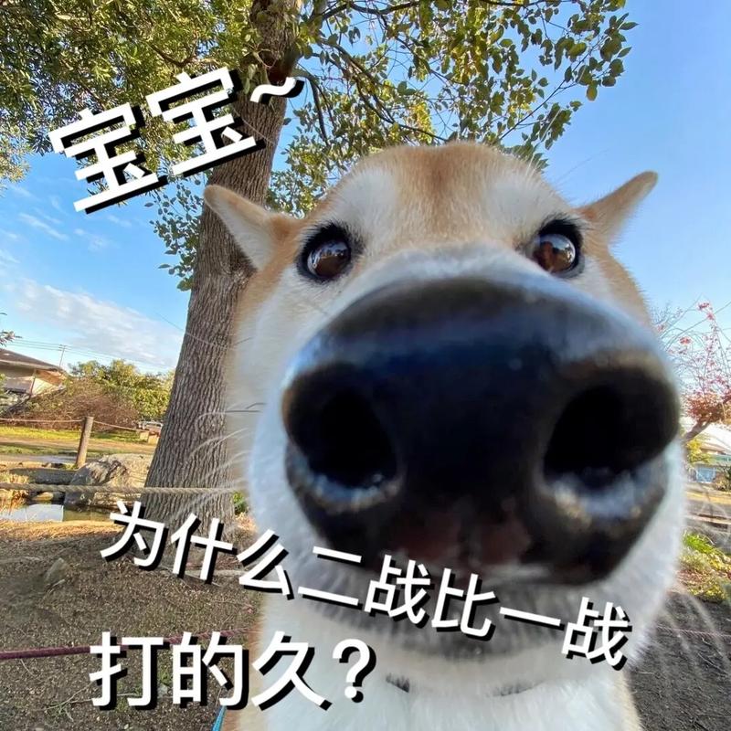 najin sword是什么？看完这篇你就全明白了！