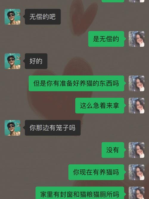 想看捡到千年猫版本大全?这篇攻略帮你找全!