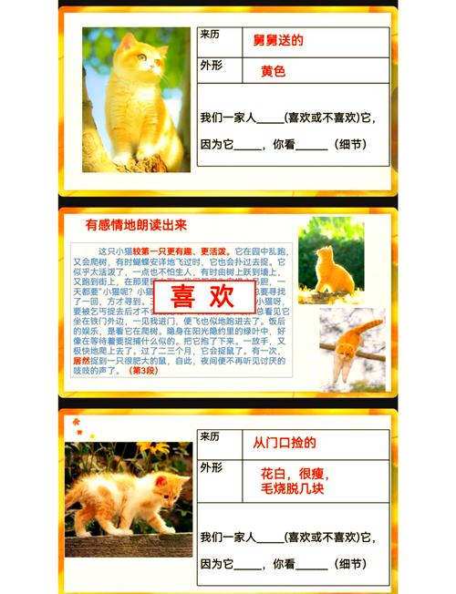 捡到千年猫游戏介绍:萌猫养成,玩法都在这!