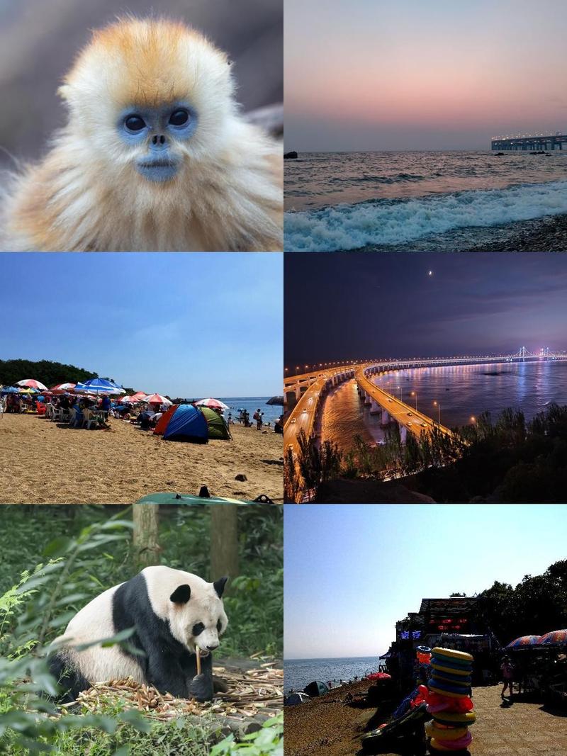 森林之友有哪些？这几种可爱的动物你一定喜欢！