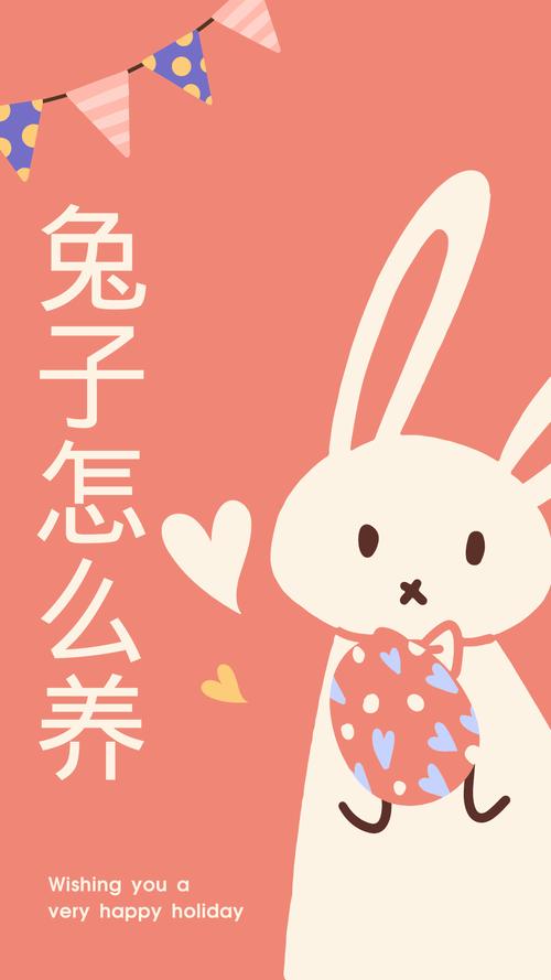 想找兔兔助手官网?这篇文章帮你快速找到它!