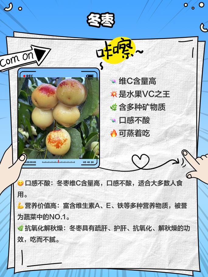 大白菜和柠檬维C含量大比拼，结果惊人！