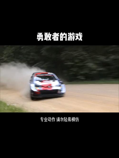 还在找勇敢者的游戏下载?这里有你想要的资源!