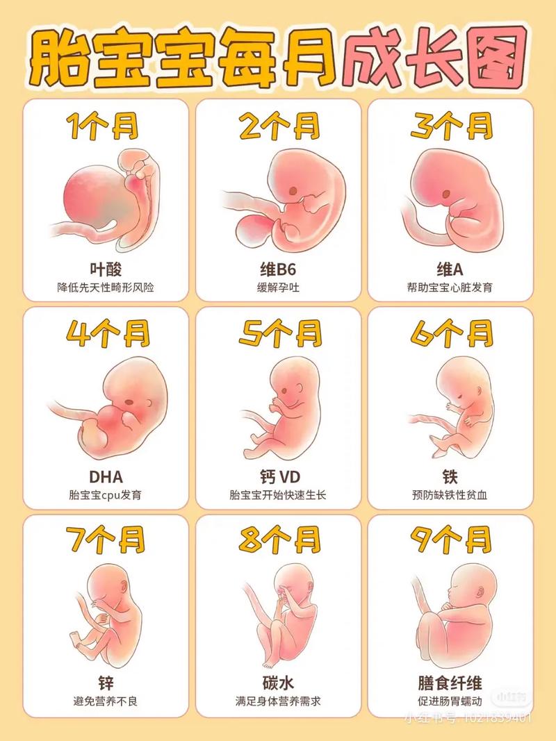 龙粪是宝还是害？幼苗期过量使用可能适得其反！