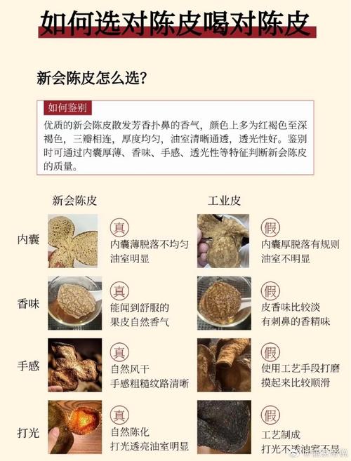 制皮分支选哪个好?看完这篇攻略你就懂了!