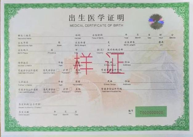 出生证明下载地址在哪?手把手教你轻松获取!