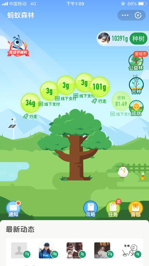 蚂蚁森林今日答案揭秘,快速收集绿色能量!