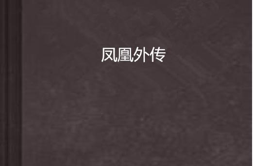 凤凰V11外传What游戏好玩吗？看完你就知道了！