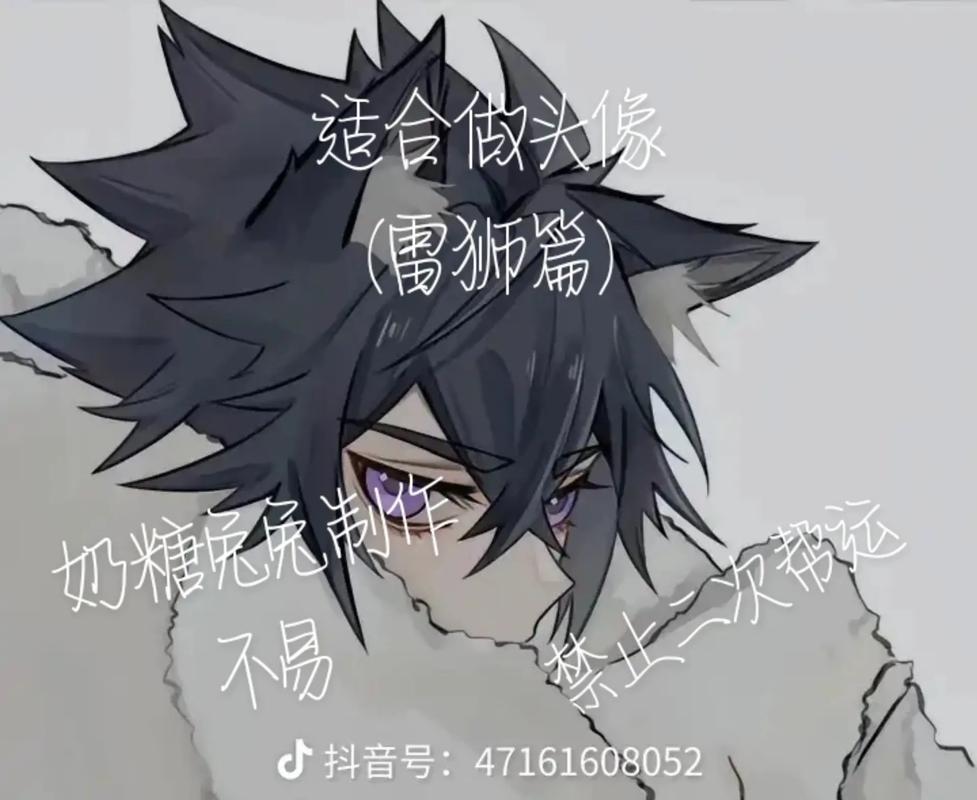 山海镜花雷狮获得方法，新手必看的攻略！