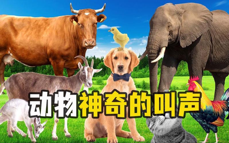 动物声音博物馆在哪?这里有超全的动物叫声!