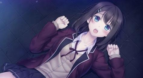 妻子的生活V0.65绅士游戏下载:最新汉化版免费获取!