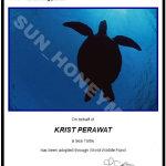 官方HoneySun下载地址发布，安全无毒放心下！