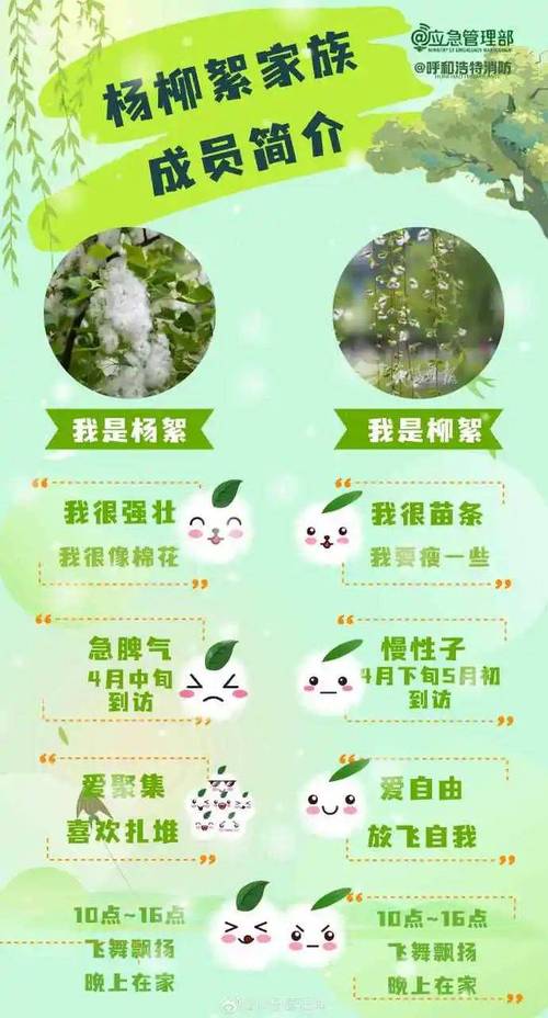 随风飘扬的柳絮是什么？原来是柳树的种子呀！