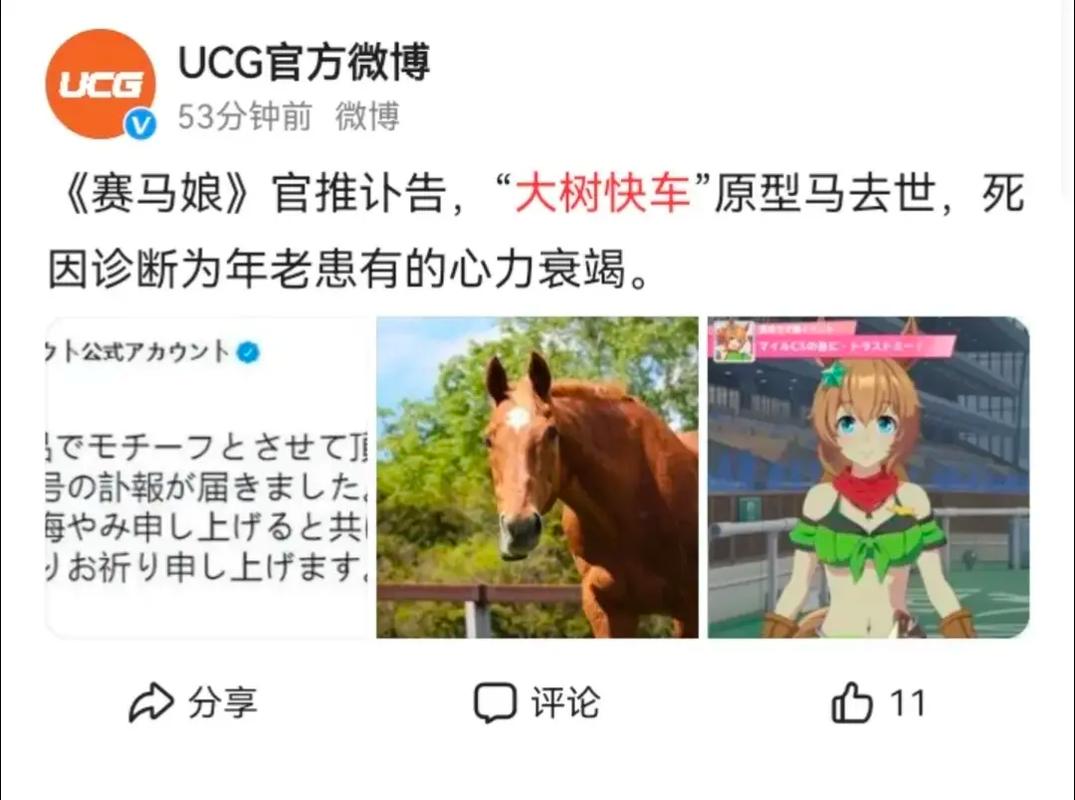 大树快车靠谱吗?一文带你了解它的优缺点!