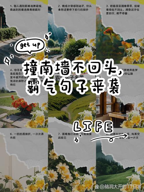 啥是不撞南墙不回头的南墙?死心眼真能成功吗?