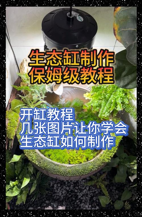 迷你水族馆造景教程,手把手教你布置漂亮鱼缸!