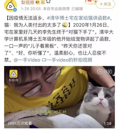 相亲攻略之宝贝别再选我了版本大全,单身狗必看脱单秘籍!