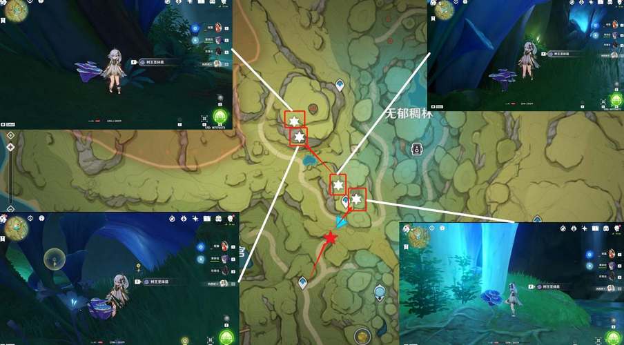 原神树王圣体菇位置大全,再也不用满地图找啦!