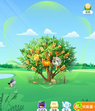 蚂蚁森林今日答案揭秘,快速收集绿色能量!