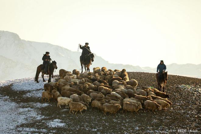 牧场养什么最赚钱?内行人告诉你答案!