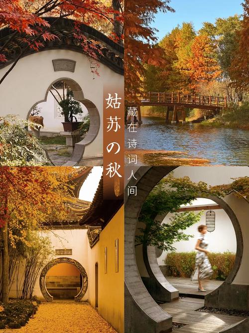 苏州园林蚂蚁庄园值得去吗?真实评价告诉你!