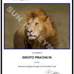 官方HoneySun下载地址发布，安全无毒放心下！