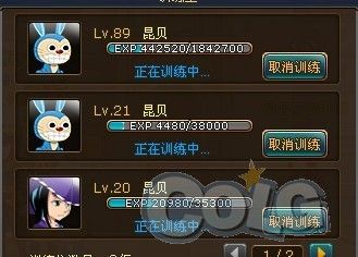 热血海贼王宠物怎么获得?快速获取稀有宠物技巧!