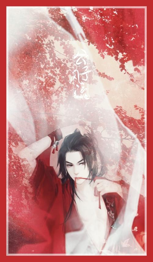 风流公子版本大全详细介绍,新手必看!