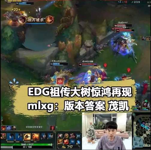 英雄联盟lbl是什么意思?职业选手为你解答!