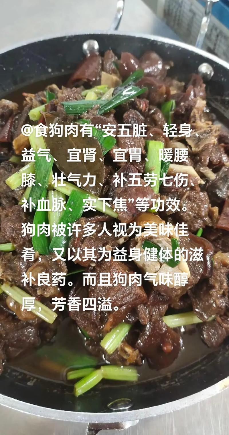 山狗肉是什么肉？山狗肉的营养价值和功效有哪些？