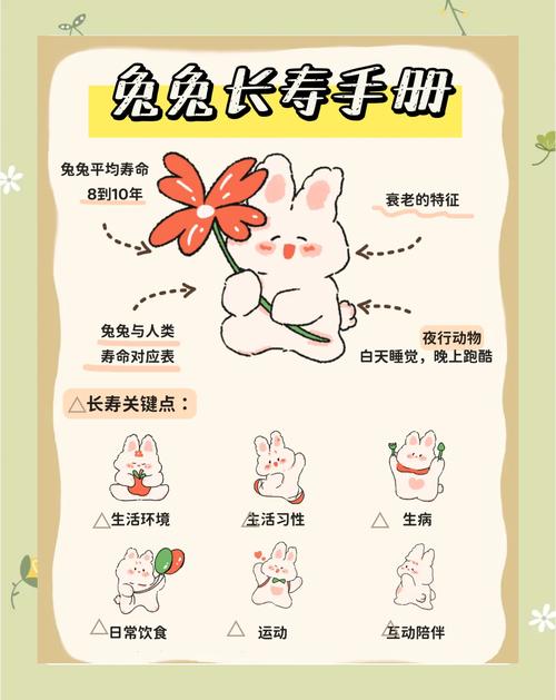 兔兔秘密花园游戏攻略:高分技巧与资源获取详解