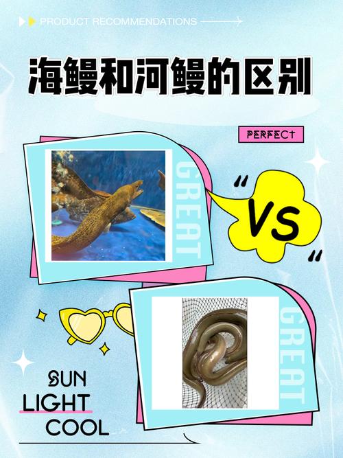 海鳗插件设置及使用技巧:高效游戏指南