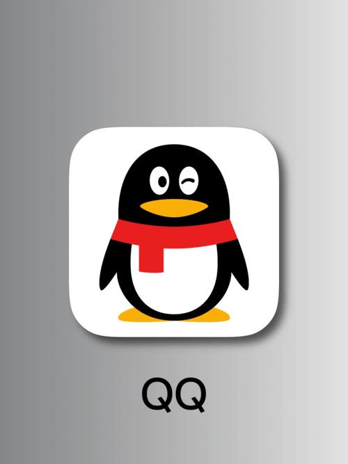 想玩转QQ?QQ会员东珈AB带你体验不一样