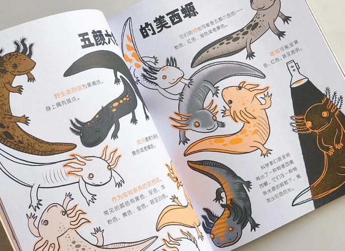 水仙花与水熊虫:谁的生命力更顽强?