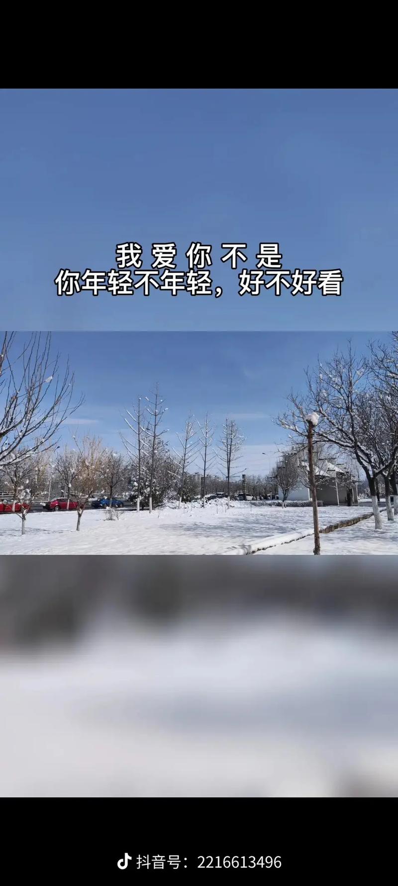 抖音神曲“心里的花我想要带你回家”是什么歌?完整版歌词分享