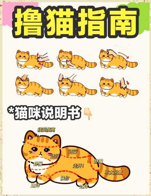 喵喵岛2游戏攻略大全：快速上手变大神秘籍