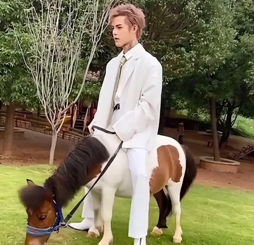 到底什么是殷世航梗?揭秘网红殷世航的成名之路