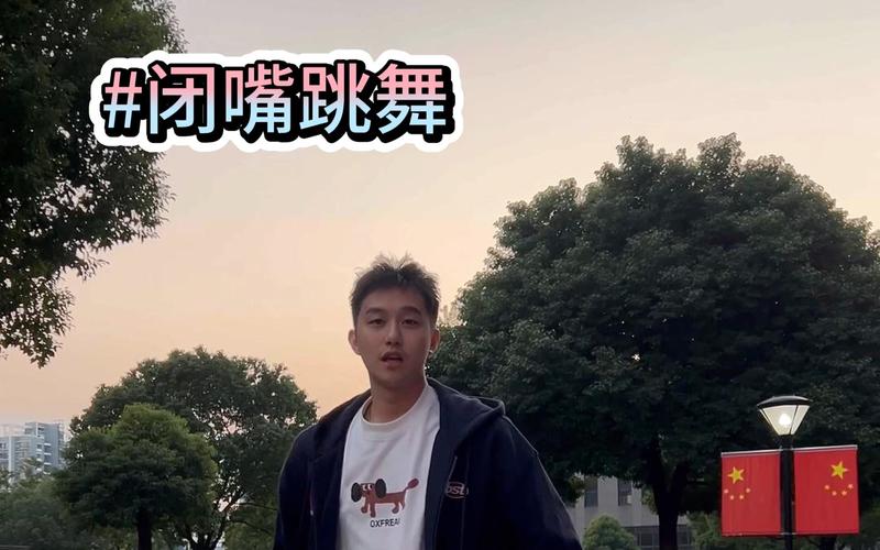 闭嘴跳舞游戏攻略:全面解析,助你玩转游戏世界