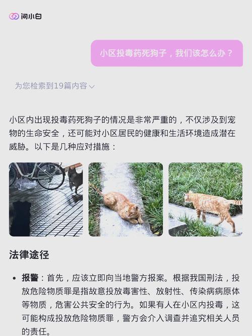 猛击事件频发，我们该如何避免？