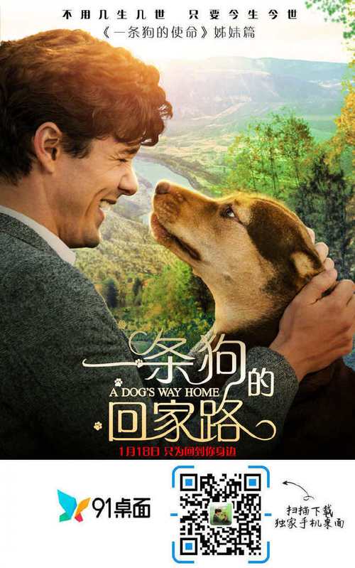 强烈的愿望版本大全：各种版本满足你