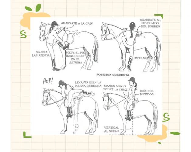 告别迷茫!骑马与砍杀赶牛技巧详解及图文