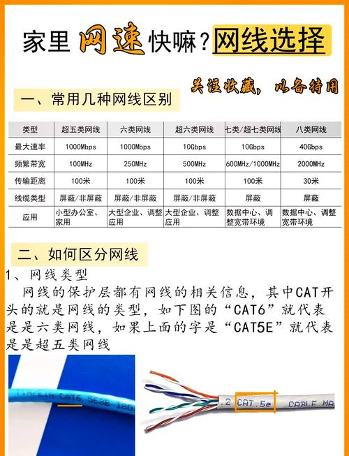 INS加速器免费好用吗?提升网速小技巧