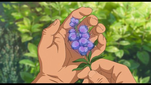 好玩的花之魔女杨过游戏：带你体验奇幻世界