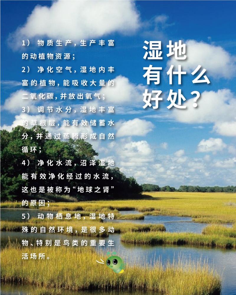 湿地被称为什么？它对地球有多重要你知道吗？