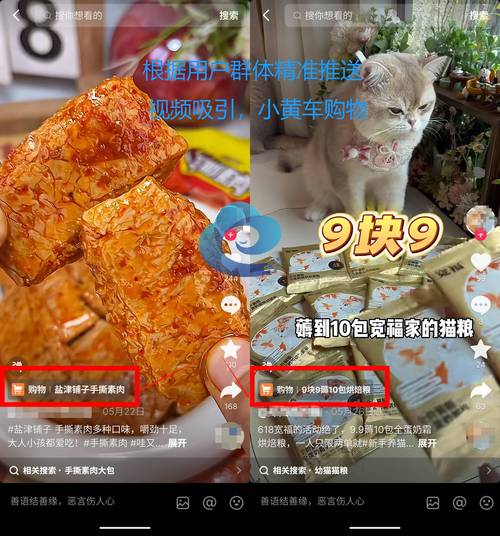 想赚钱?刷宝App下载,轻松玩转短视频