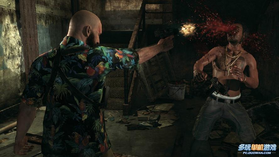 探索马克思佩恩3的魅力：游戏画面与剧情深度剖析