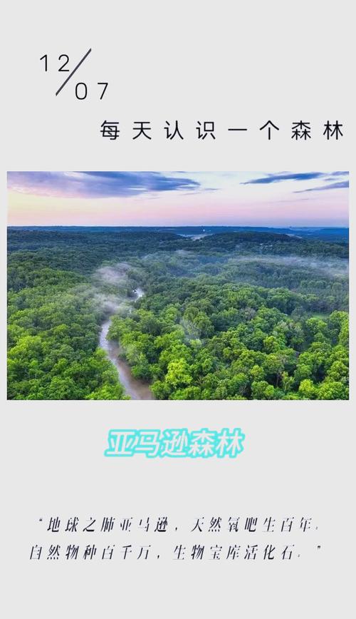 亚马逊之后,探索世界第二大森林的秘密与神奇